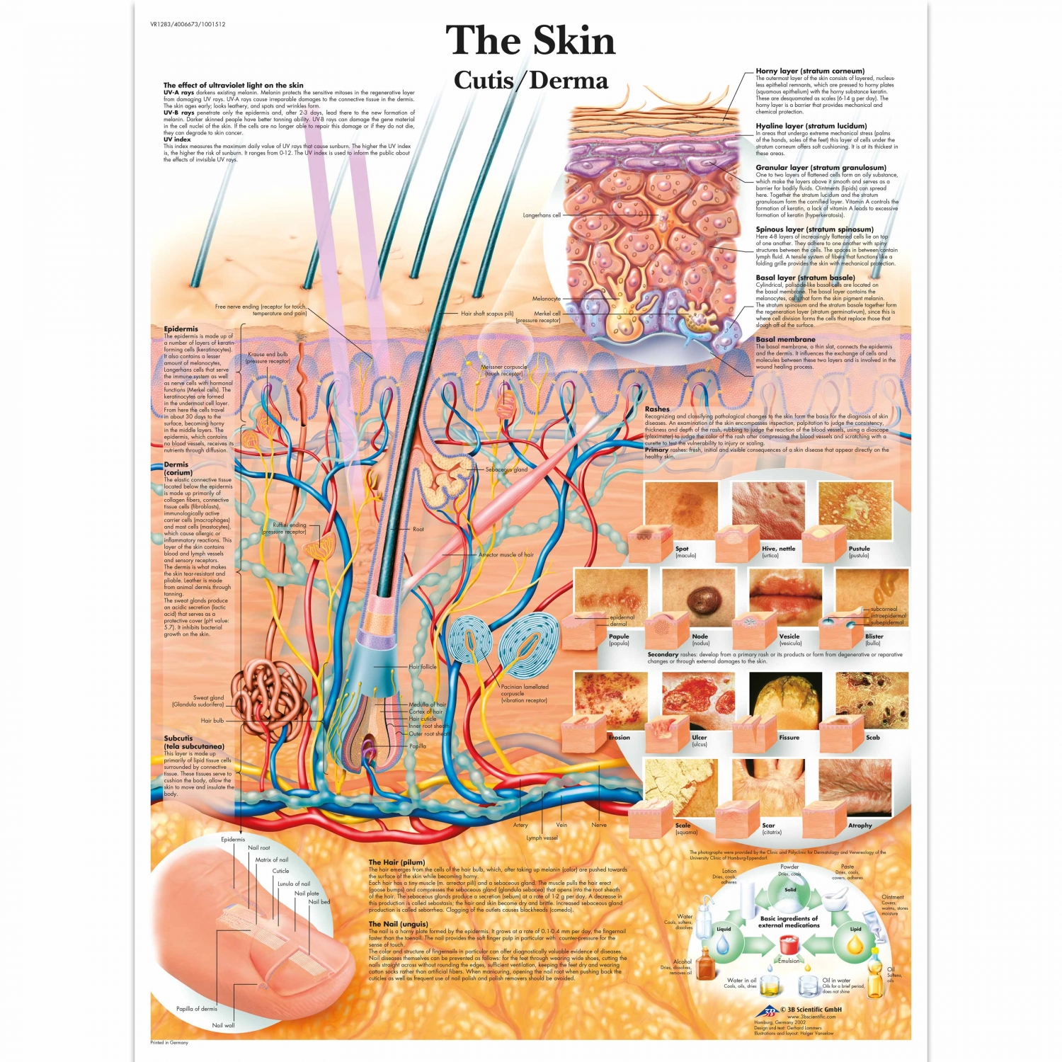 Pancarte murale plastifiée The Skin - 50 x 67 cm
